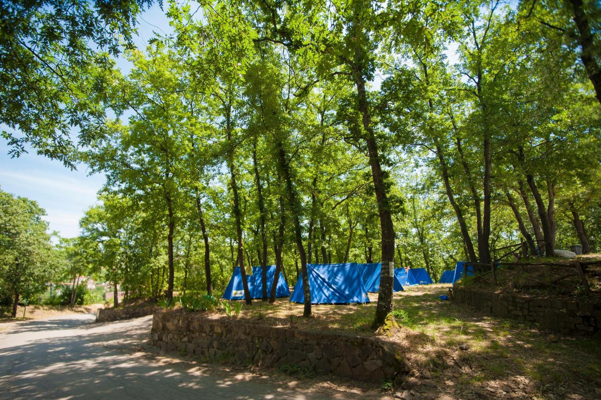 Hu Firenze Certosa Camping In Town Impruneta Dış mekan fotoğraf